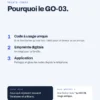 Points forts de la serrure connectée à empreinte GoLocky GO-03 : code à usage unique, empreinte digitale, application